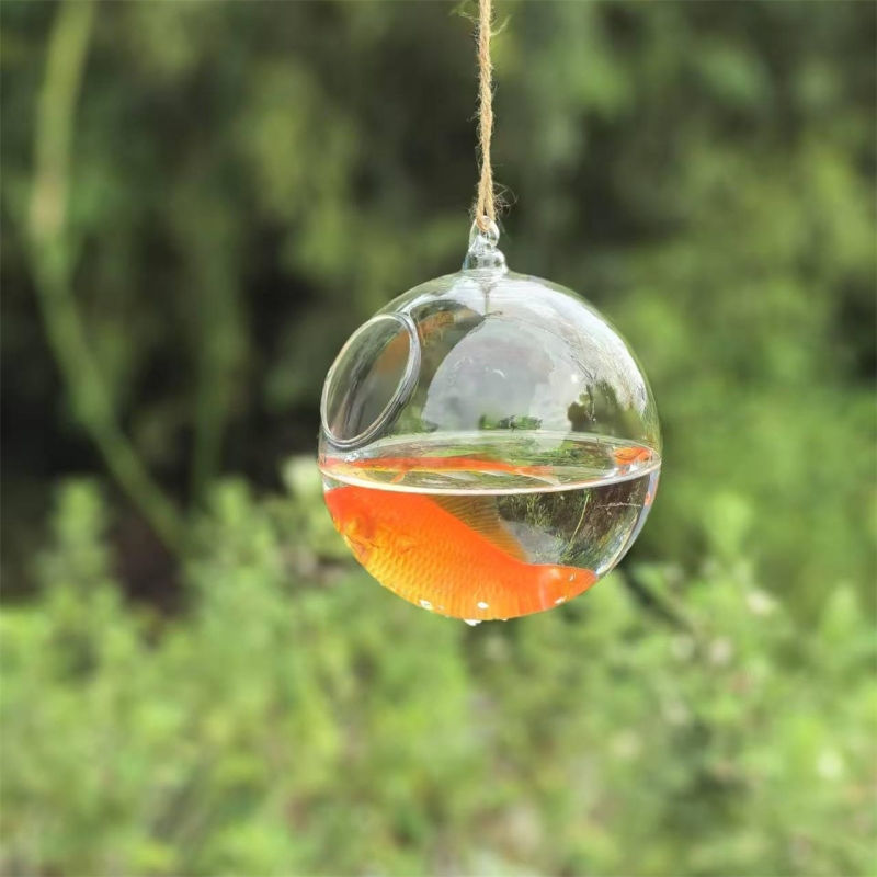 Aquarium - Small Packing Diameter=10cm 12cm 15cm 20cm