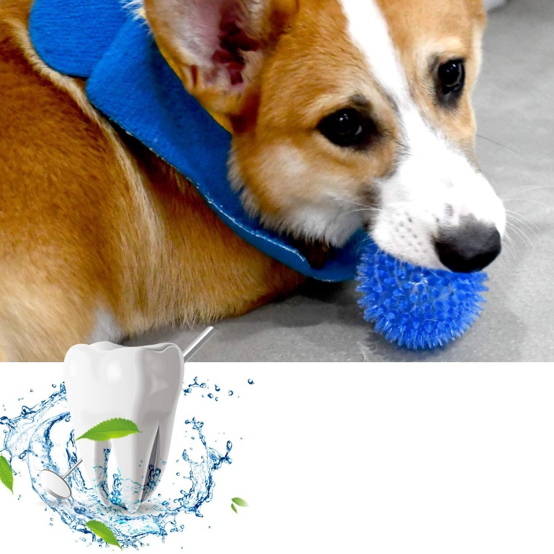 Pet Toy Ball for Cats And Dogs - Indestructible Dog Chew Toy ulasan dan harga