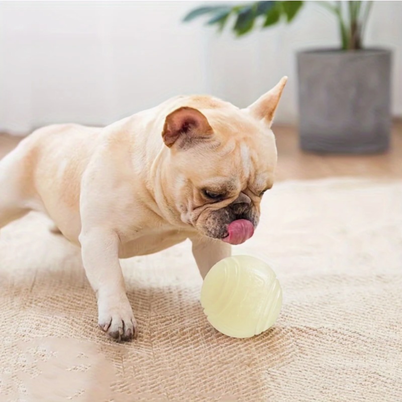 Glow-in-the-Dark Rubber Dog Ba - Indestructible Dog Chew Toy ulasan dan harga