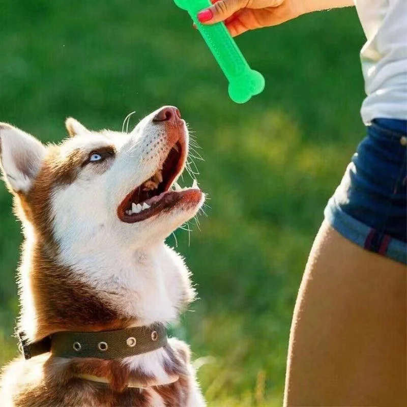 Super Tough Dog Bone Chew Toy  - Teeth Cleaning Dog Chew Bone ulasan dan harga