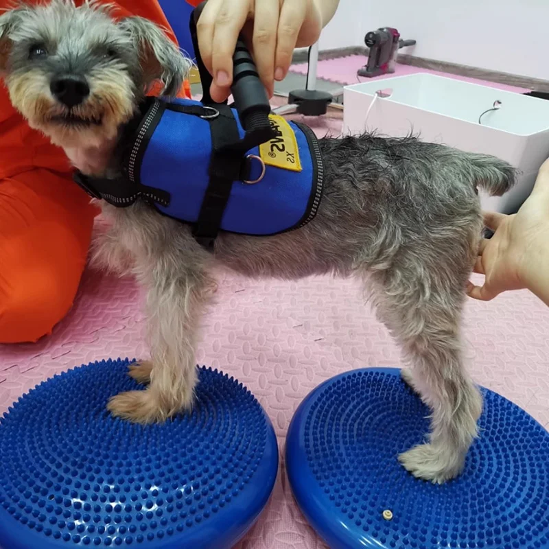 Dogs Training Aids Balance Fly - Flying Disc Dog Training Toy ulasan dan harga