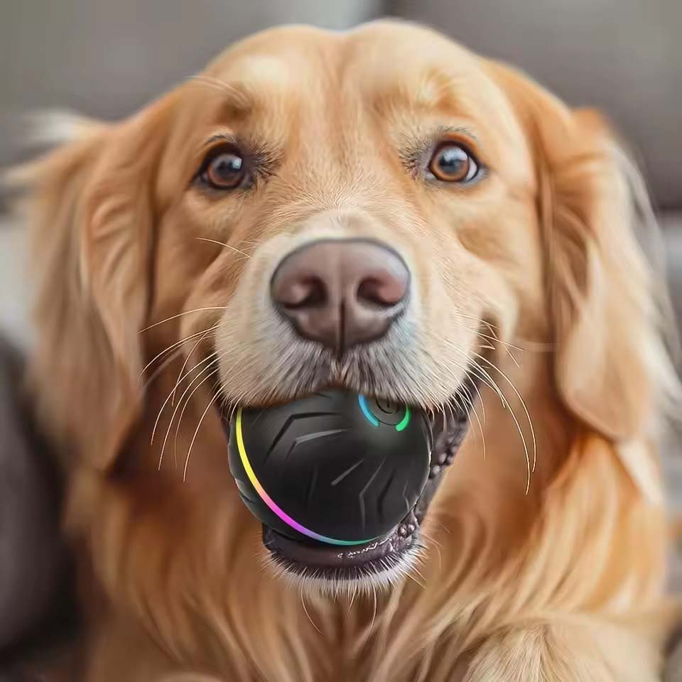 Interactive Smart Dogs Toys Ba - Automatic Moving Dog Ball ulasan dan harga