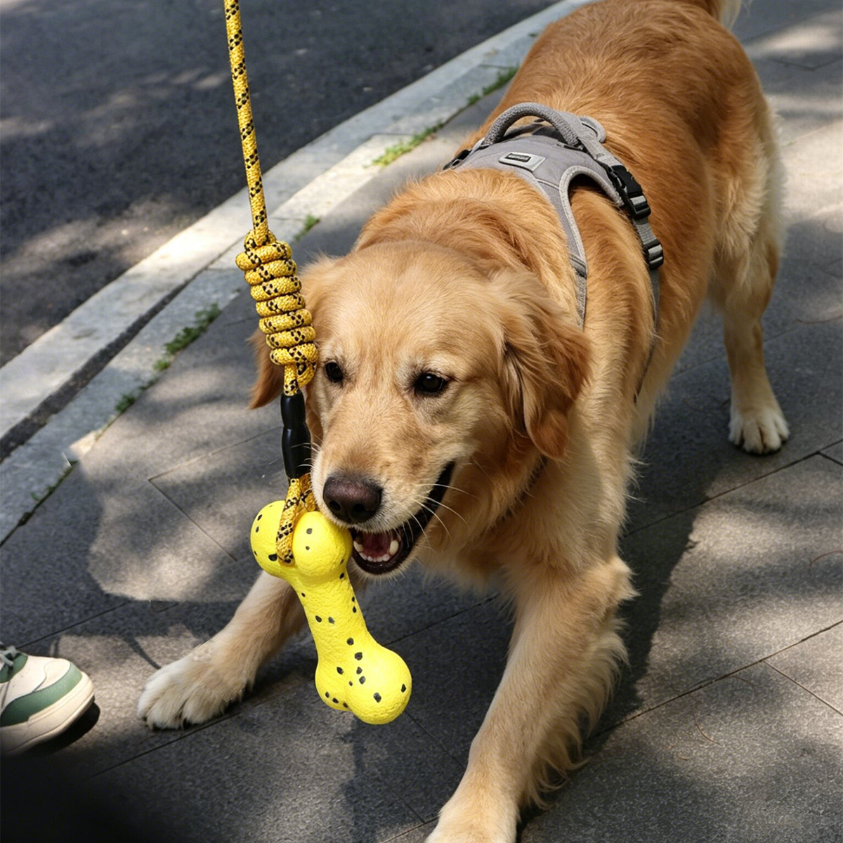 Heavy Duty Dog Tug Rope Toy ET - Dog Rope Toy Aggressive Chewers ulasan dan harga