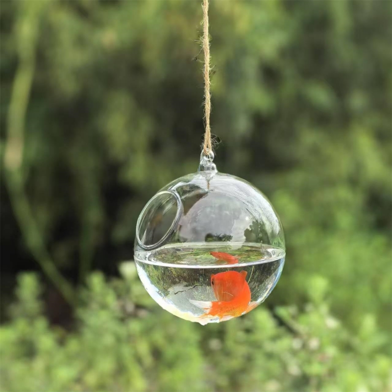 Small Packing Diameter=10cm 12 - Aquarium ulasan dan harga