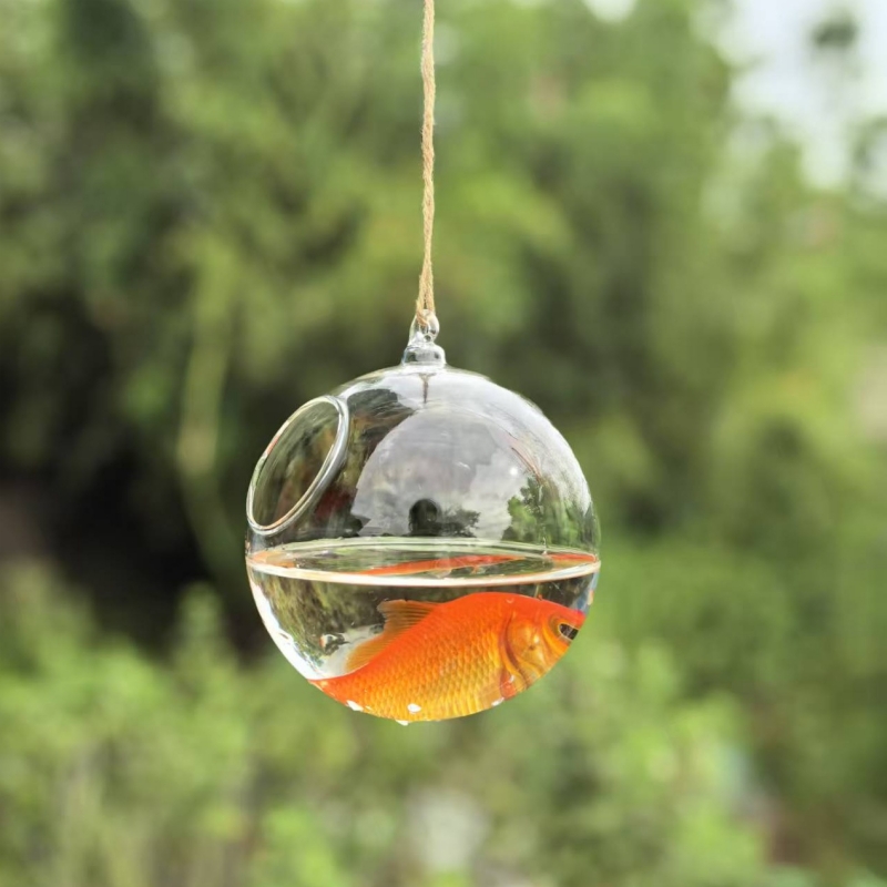 Small Packing Diameter=10cm 12 - Aquarium ulasan dan harga