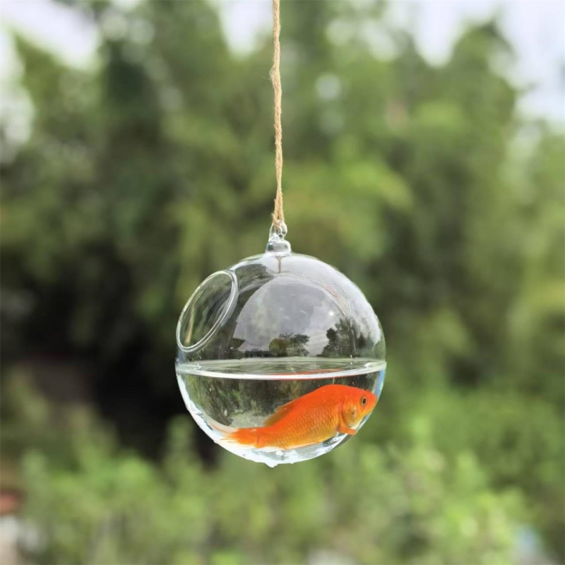Small Packing Diameter=10cm 12 - Aquarium ulasan dan harga