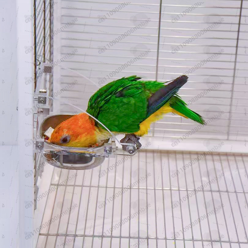Parrot food box stainless stee - Pet Feeders ulasan dan harga