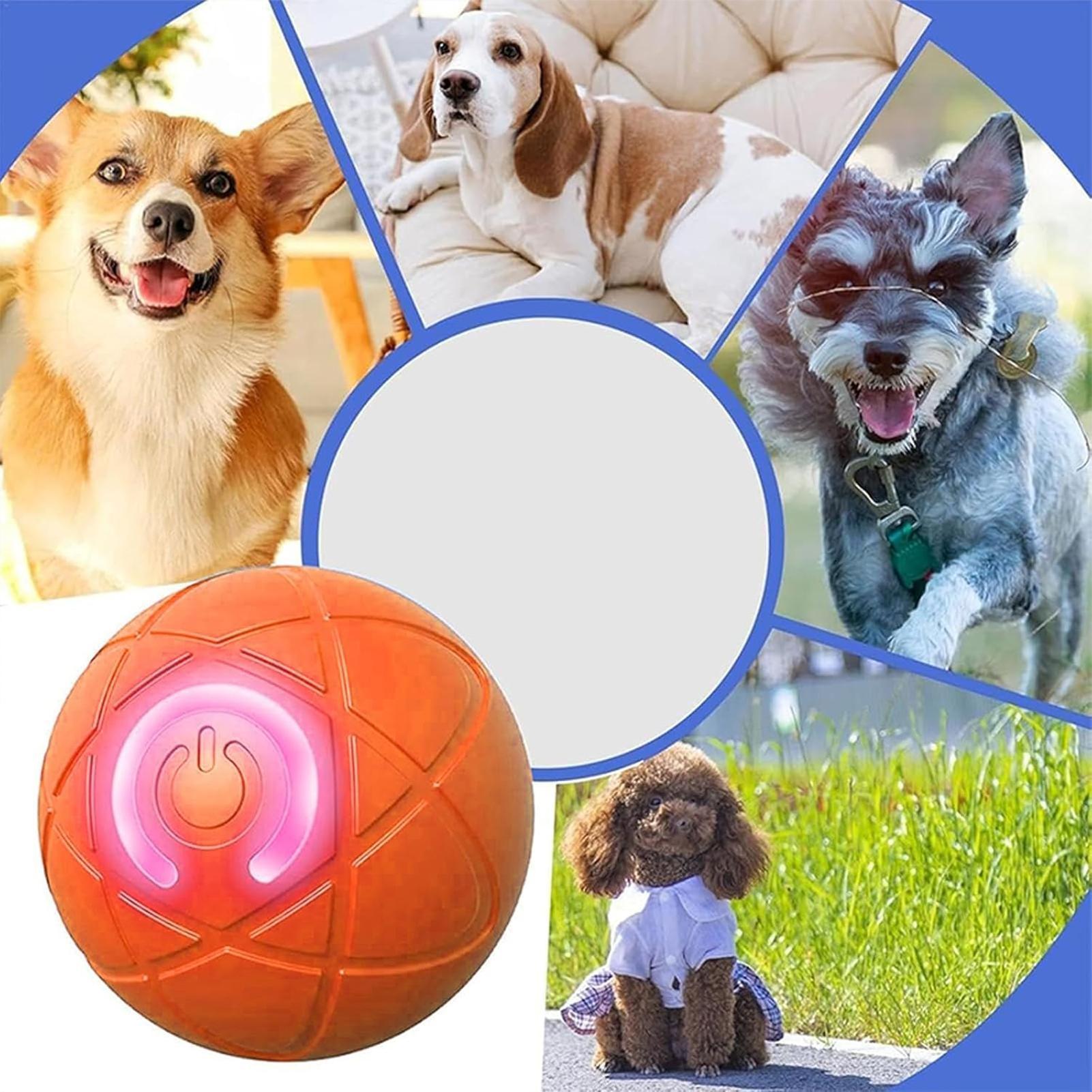 Smart Dog Toys Ball Electronic - Automatic Moving Dog Ball ulasan dan harga