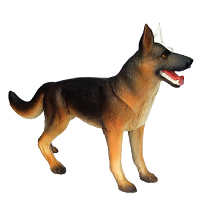 Animal Organ Anatomy Model 4D  - Dog Toys ulasan dan harga