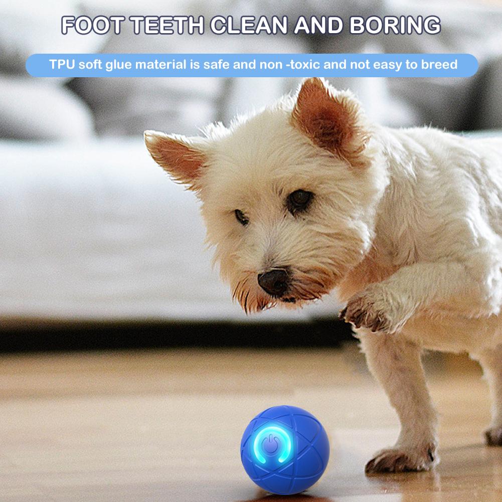 Electronic Interactive Pet Toy - Automatic Moving Dog Ball ulasan dan harga