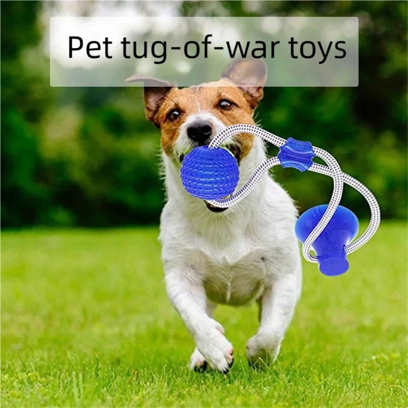 Durable Suction Cup Dog Tug To - Suction Cup Dog Tug Toy ulasan dan harga