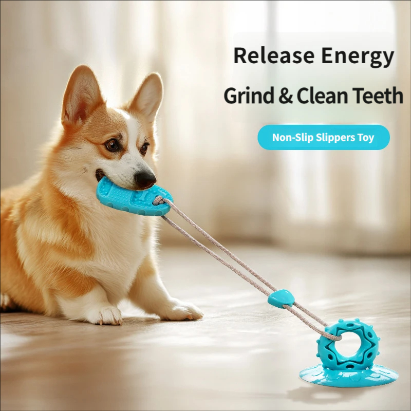 Suction Cup Dog Tug Toy Intera - Suction Cup Dog Tug Toy ulasan dan harga