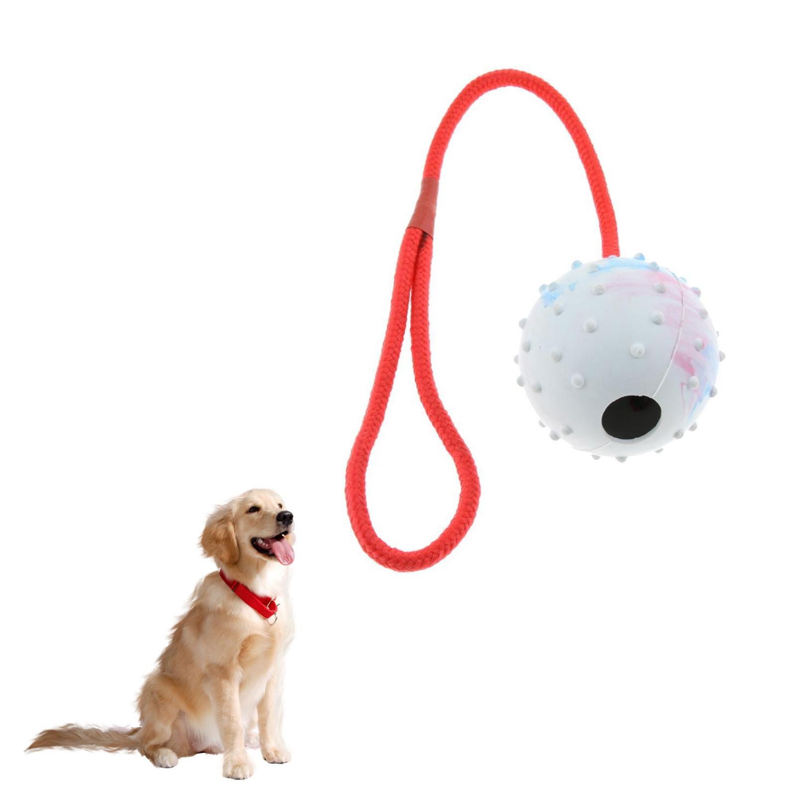 Pet Training Toy Soft Rubber C - Rubber Treat Dispensing Dog Toy ulasan dan harga