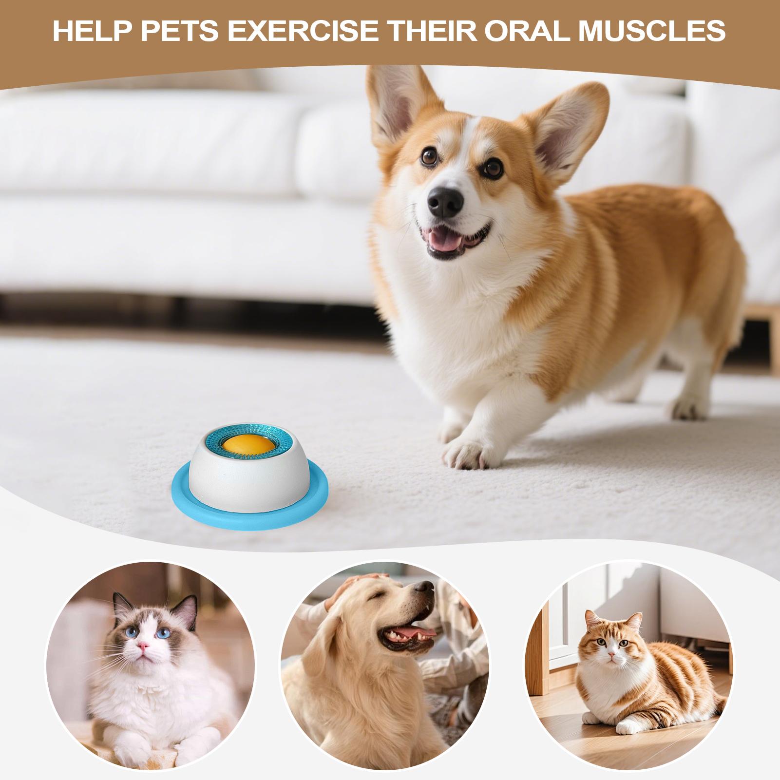 Pet Feeding Accessories Dog Tr - Dog Puzzle Feeder Toy ulasan dan harga